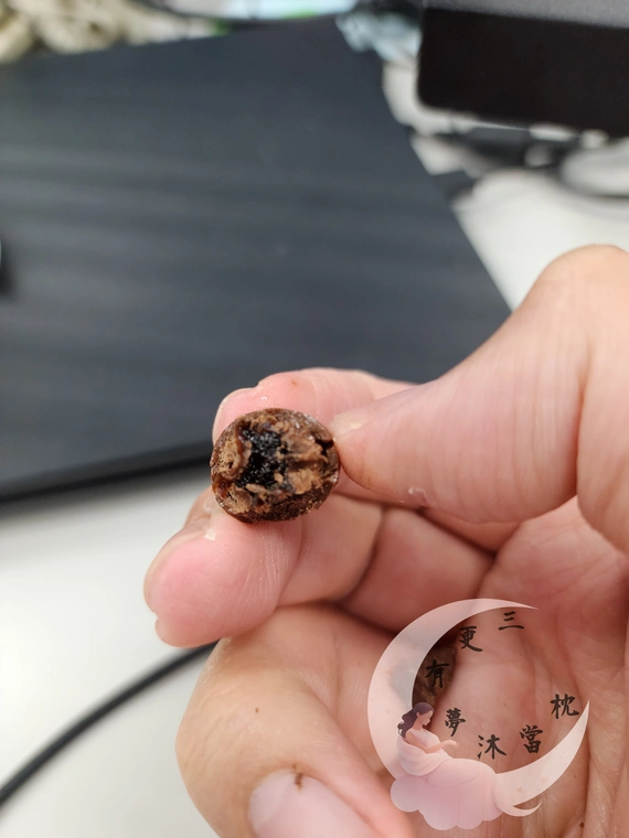 義美巧克力球 超大葡萄乾巧克力